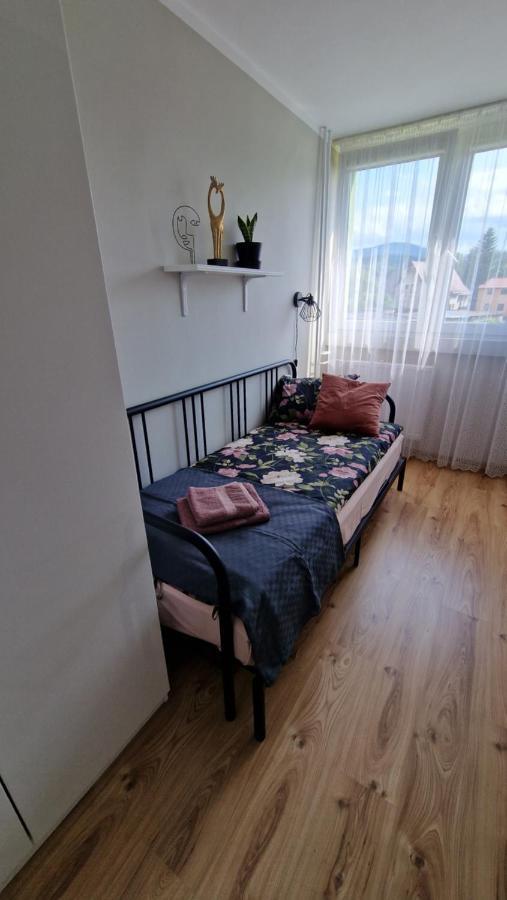 Apartament Spoko-Loko Leilighet Stronie Śląskie Eksteriør bilde
